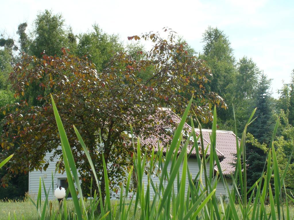 Bobrowa Dolina Bed & Breakfast Ryn  Rom bilde