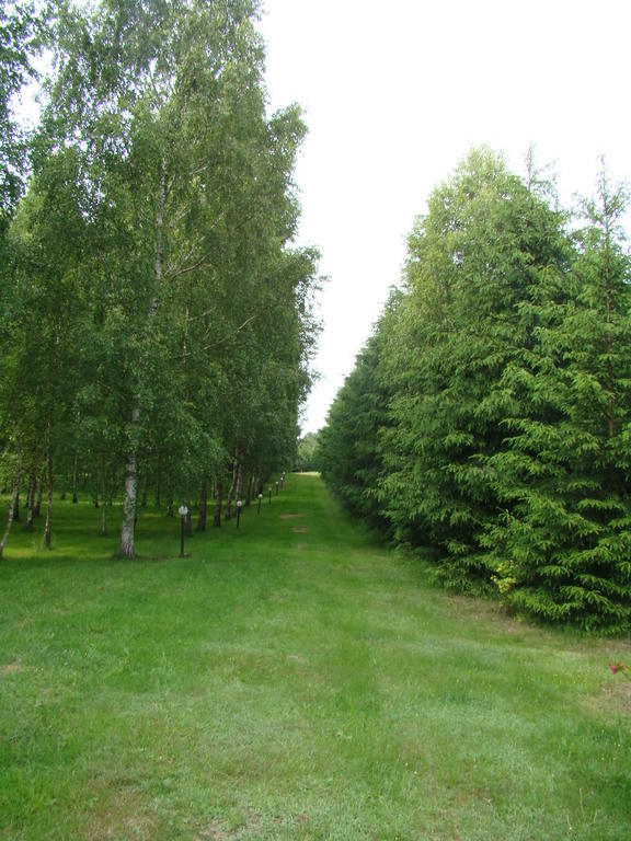 Bobrowa Dolina Bed & Breakfast Ryn  Eksteriør bilde